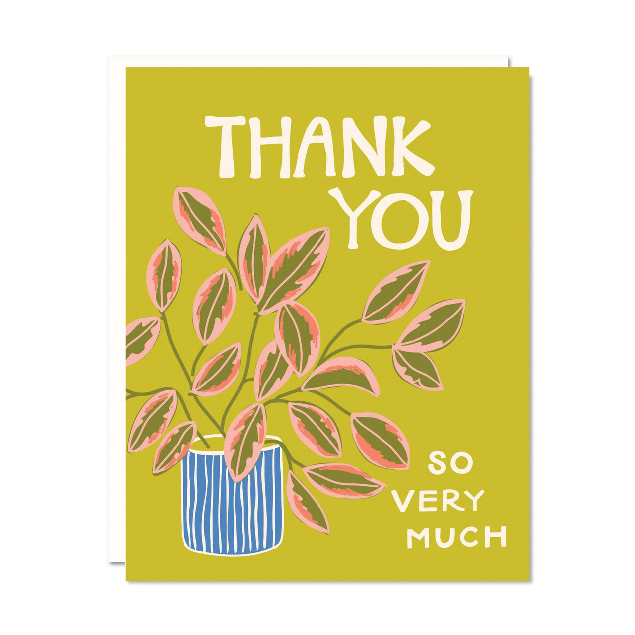 THANK YOU RUBBER PLANT CARD